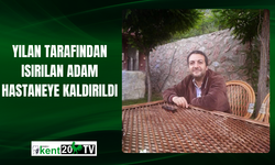 Yılan tarafından ısırılan adam hastaneye kaldırıldı