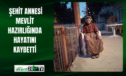 Şehit Annesi Mevlit Hazırlığında Hayatını Kaybetti