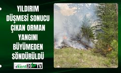 Yıldırım düşmesi sonucu çıkan orman yangını büyümeden söndürüldü