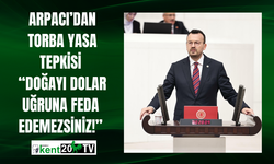 Arpacı’dan  Torba Yasa Tepkisi  “Doğayı Dolar Uğruna Feda Edemezsiniz!”