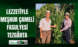 Lezzetiyle Meşhur Çameli Fasulyesi Tezgâhta