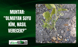 Muhtar: “Olmayan Suyu Kim, Nasıl Verecek?”