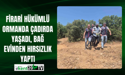 Firari Hükümlü Ormanda Çadırda Yaşadı, Bağ Evinden Hırsızlık Yaptı