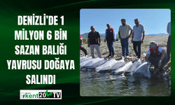 Denizli’de 1 Milyon 6 Bin Sazan Balığı Yavrusu Doğaya Salındı