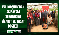 Vali Coşkun’dan Acıpayam Seralarına Ziyaret ve Hasat Desteği