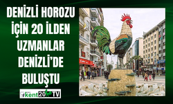 Denizli Horozu İçin 20 İlden Uzmanlar Denizli’de Buluştu