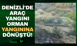 Denizli'de araç yangını orman yangınına döndü!