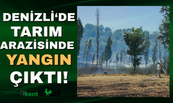 Denizli'de yangın! Tarım arazisi alevlere teslim oldu!