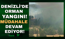 Denizli'de orman yangını! Müdahale devam ediyor!