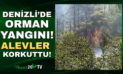 Denizli'de yangın!