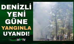 Denizli'de orman yangını!