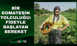 Yıldırım Düştü, 8 Ton Buğday Kül Oldu!