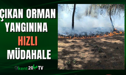Çıkan Orman Yangınına Hızlı Müdahale