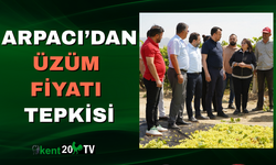 Arpacı’dan Üzüm Fiyatı Tepkisi
