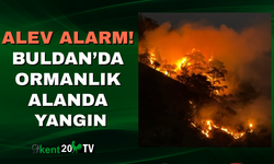 ALEV ALARM! Buldan’da Ormanlık Alanda Yangın