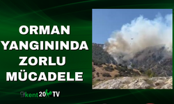 Orman Yangınında Zorlu Mücadele