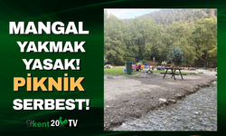 Mangal yasak piknik serbest!