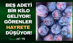 Bu erik başka erik!