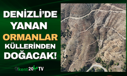 Denizli'de yanan ormanlar küllerinden doğacak!