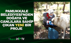 PAMUKKALE BELEDİYESİ’NDEN DOĞAYA VE CANLILARA SAHİP ÇIKAN YENİ BİR PROJE