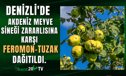 Denizli'de meyve bahçelerine Akdeniz meyve sineği zararlısına karşı feromon-tuzak dağıtıldı.