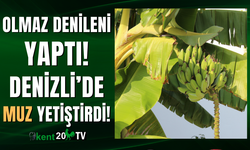 Olmaz denileni yaptı, Buldan'da muz yetiştirdi!