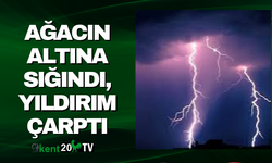 Ağacın Altına Sığındı, Yıldırım Çarptı