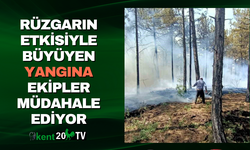 Rüzgarın Etkisiyle Büyüyen Yangına Ekipler Müdahale Ediyor