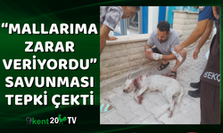 “Mallarıma zarar veriyordu” savunması tepki çekti
