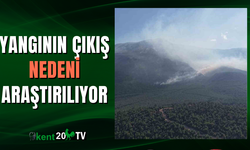 YANGININ ÇIKIŞ NEDENİ ARAŞTIRILIYOR