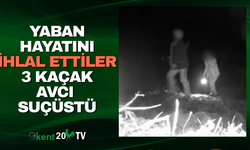 Yaban hayatını ihlal ettiler 3 kaçak avcı suçüstü