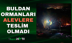 Buldan Ormanları Alevlere Teslim Olmadı