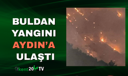 Buldan Yangını Tehlikesi Aydın Mahallelerini de Vurdu