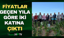 Fiyatlar geçen yıla göre iki katına çıktı