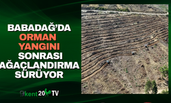 Babadağ’da orman yangını sonrası ağaçlandırma sürüyor