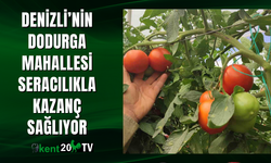 Denizli’nin Dodurga Mahallesi seracılıkla kazanç sağlıyor