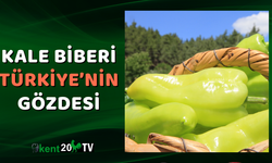 Kale Biberi Türkiye’nin Gözdesi