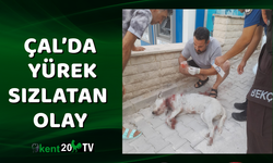 ÇAL’DA YÜREK SIZLATAN OLAY