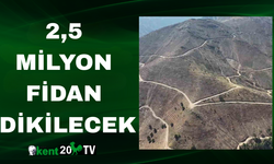 2,5 Milyon Fidan Dikilecek
