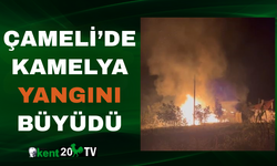 Çameli’de kamelya yangını büyüdü