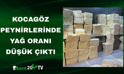 Kocagöz Peynirlerinde Yağ Oranı Düşük Çıktı