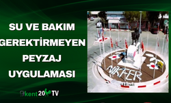 Su ve Bakım Gerektirmeyen Peyzaj Uygulaması
