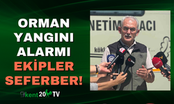 Orman Yangını Alarmı: Ekipler Seferber!