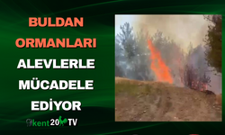 Buldan Ormanları Alevlerle Mücadele Ediyor