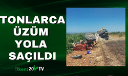 Tonlarca Üzüm Yola Saçıldı