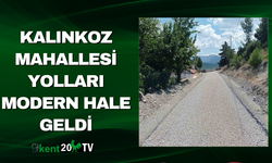 Kalınkoz Mahallesi Yolları Modern Hale Geldi