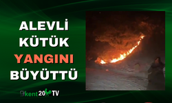 Alevli Kütük Yangını Büyüttü