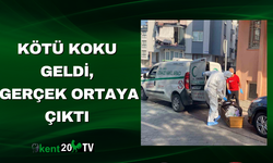 Kötü Koku Geldi, Gerçek Ortaya Çıktı