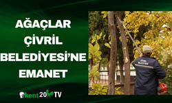 Ağaçlar Çivril Belediyesi’ne Emanet