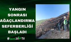 Yangın sonrası ağaçlandırma seferberliği başladı